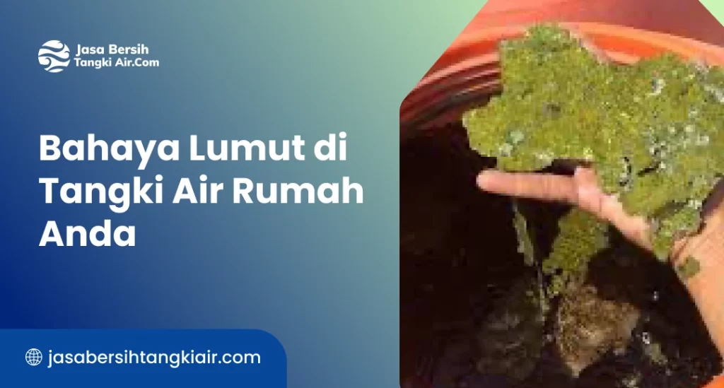 Bahaya Lumut di Tangki Air Rumah Anda
