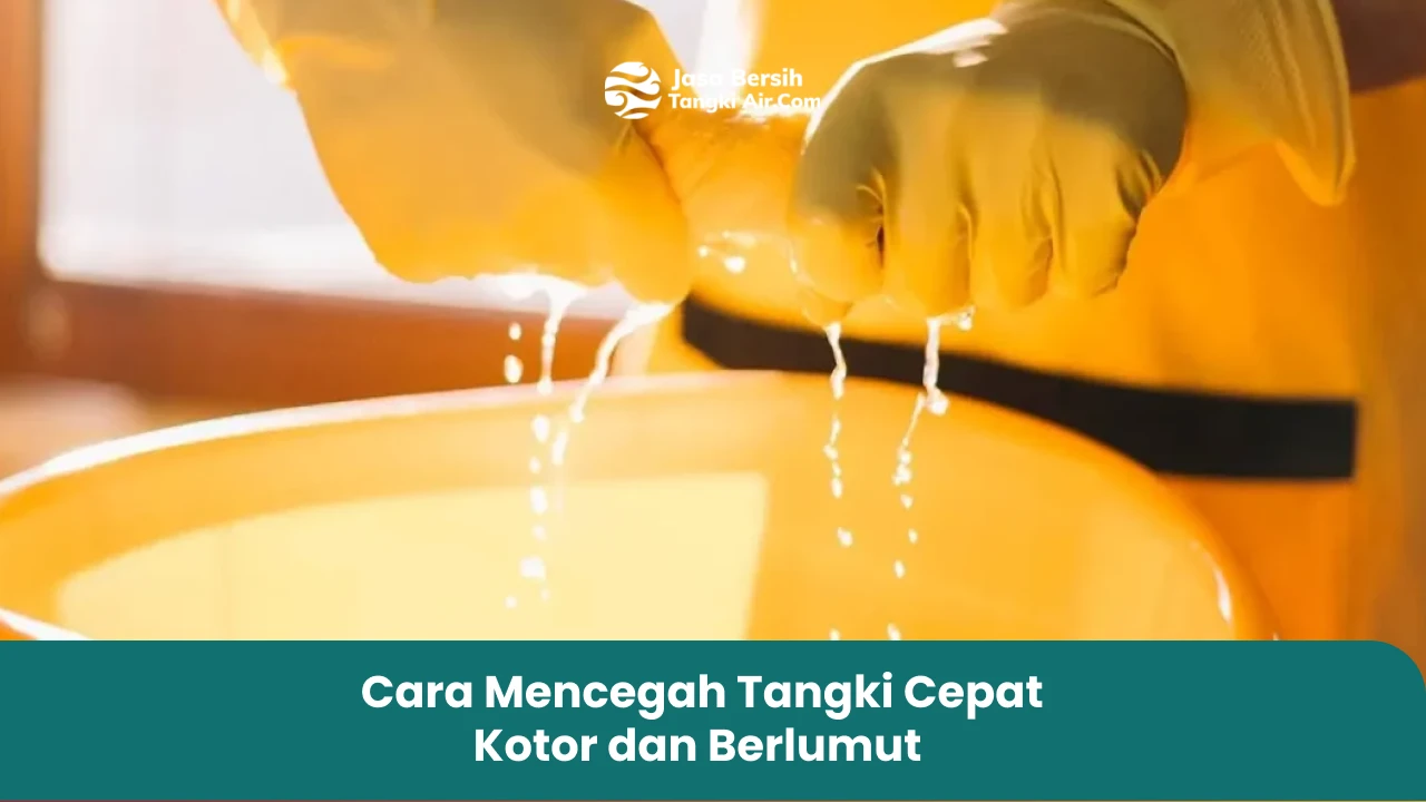 Cara Mencegah Tangki Cepat Kotor dan Berlumut
