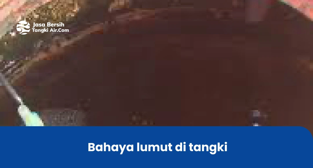 bahaya lumut di tangki