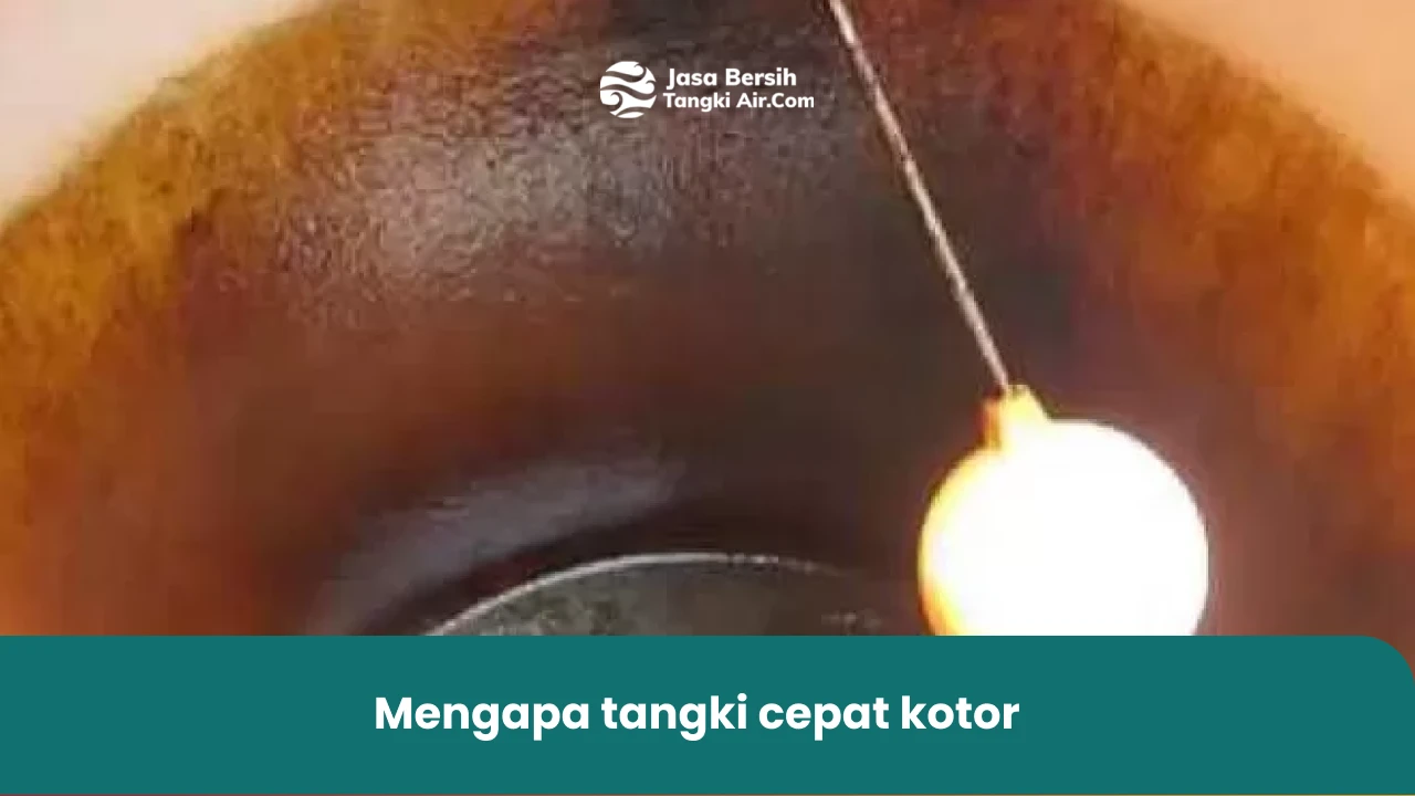 mengapa tangki cepat kotor