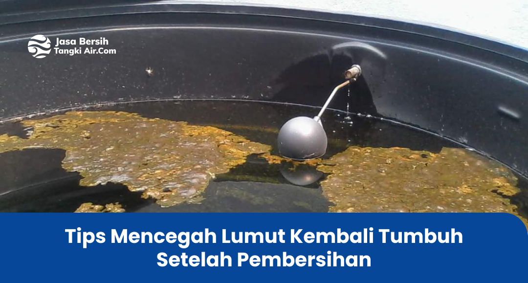 Tips Mencegah Lumut Kembali Tumbuh Setelah Pembersihan