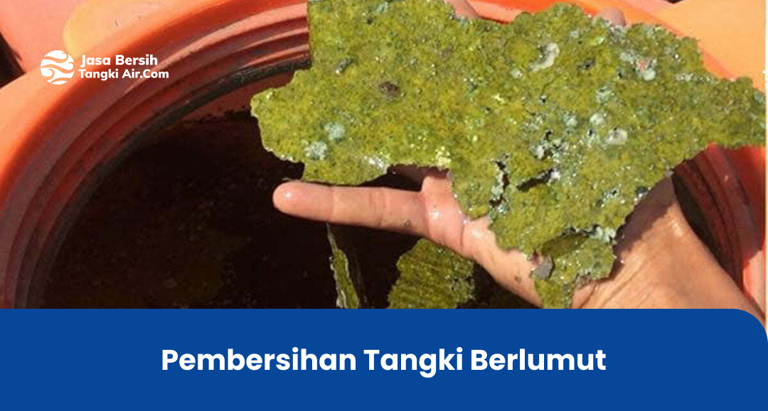 pembersihan tangki berlumut