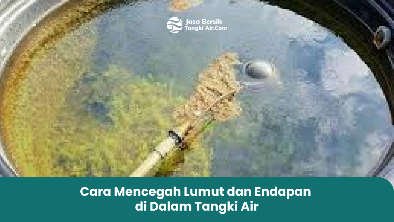 3. Cara Mencegah Lumut dan Endapan di Dalam Tangki Air