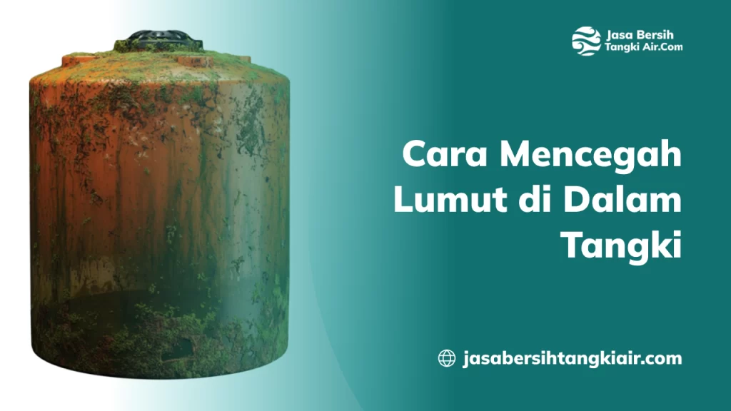 Cara Mencegah Lumut di Dalam Tangki