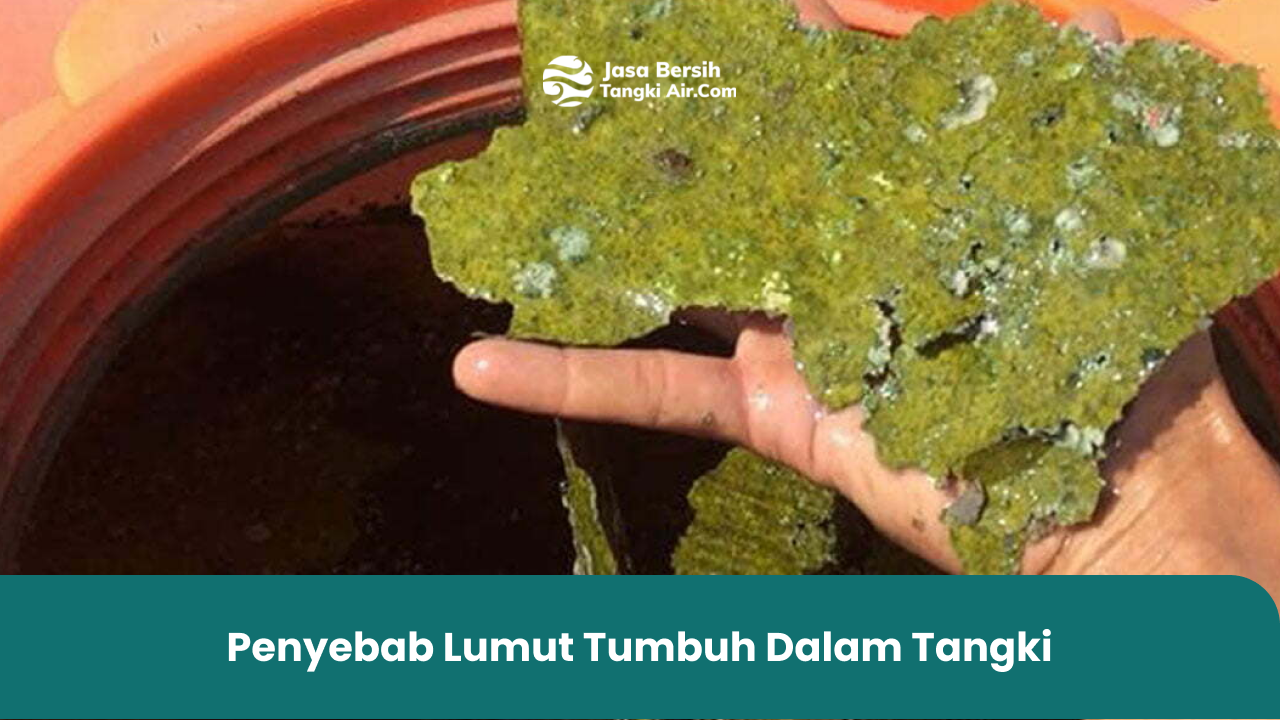 Penyebab Lumut Tumbuh Dalam Tangki