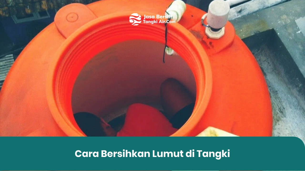 Cara Bersihkan Lumut di Tangki