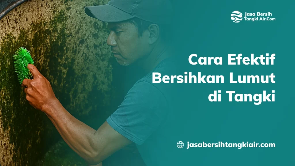 Cara Efektif Bersihkan Lumut di Tangki