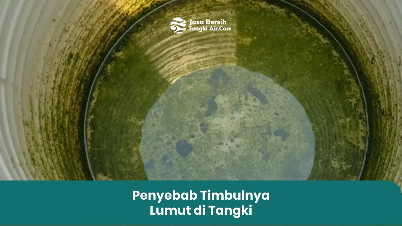 Penyebab Timbulnya Lumut di Tangki