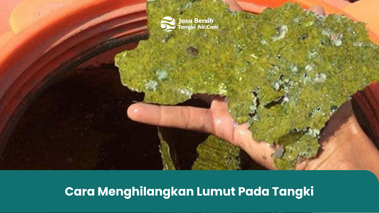 Cara Menghilangkan Lumut Pada Tangki