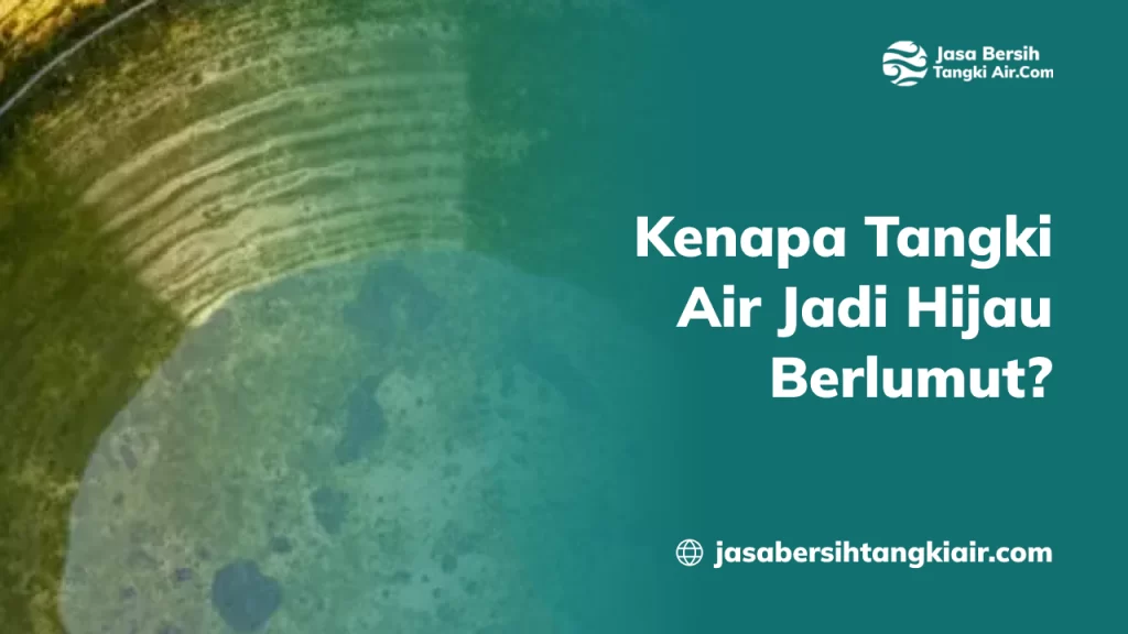 Kenapa Tangki Air Jadi Hijau Berlumut
