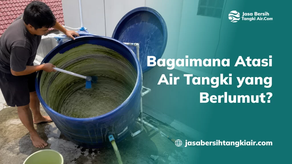 Bagaimana Atasi Air Tangki yang Berlumut?