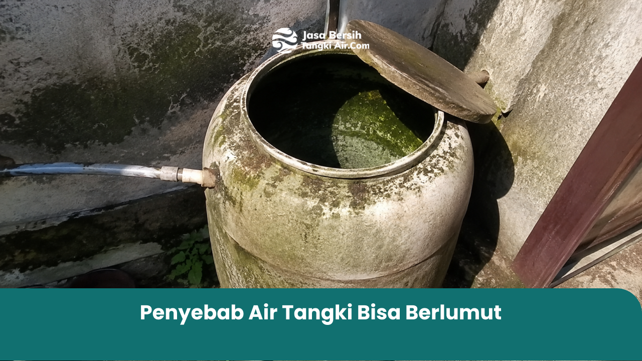 Penyebab Air Tangki Bisa Berlumut