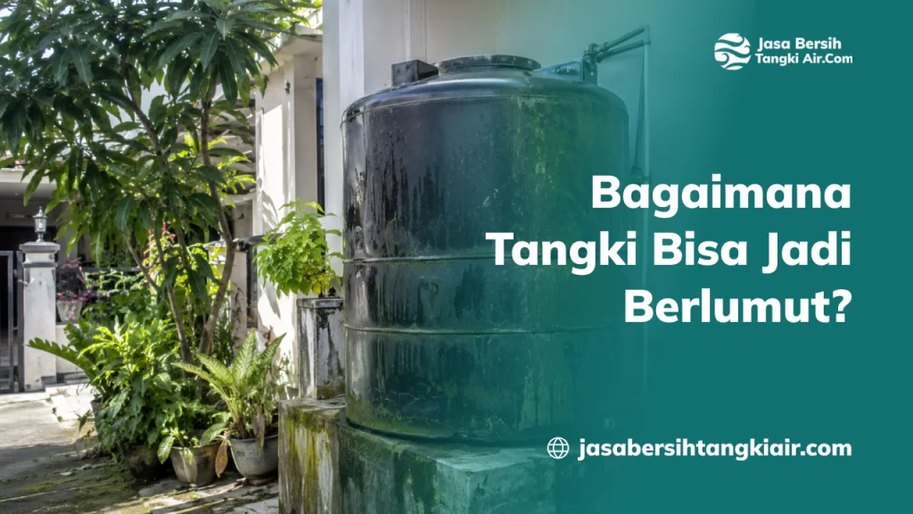 Bagaimana Tangki Bisa Jadi Berlumut?