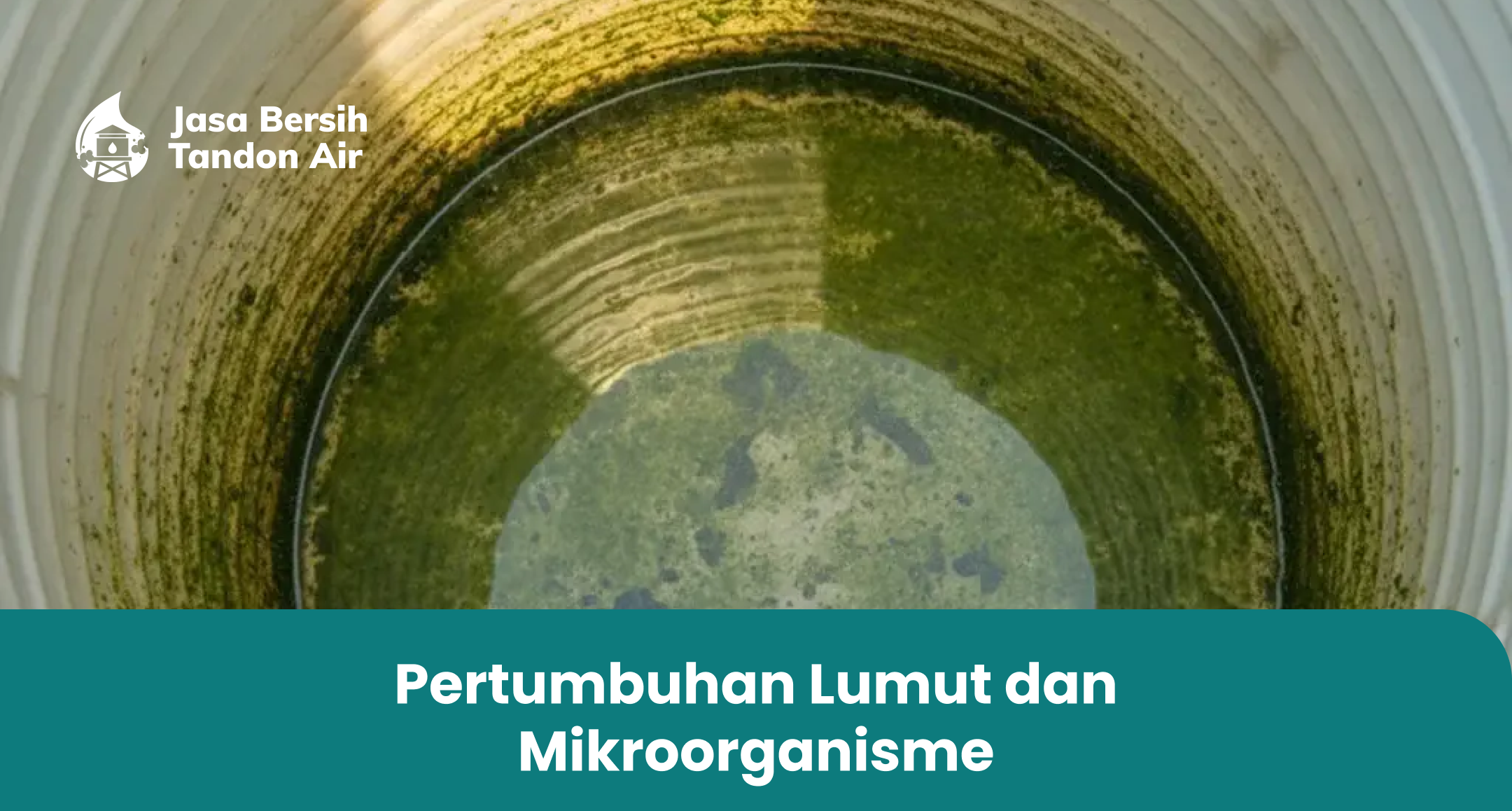Pertumbuhan Lumut dan Mikroorganisme