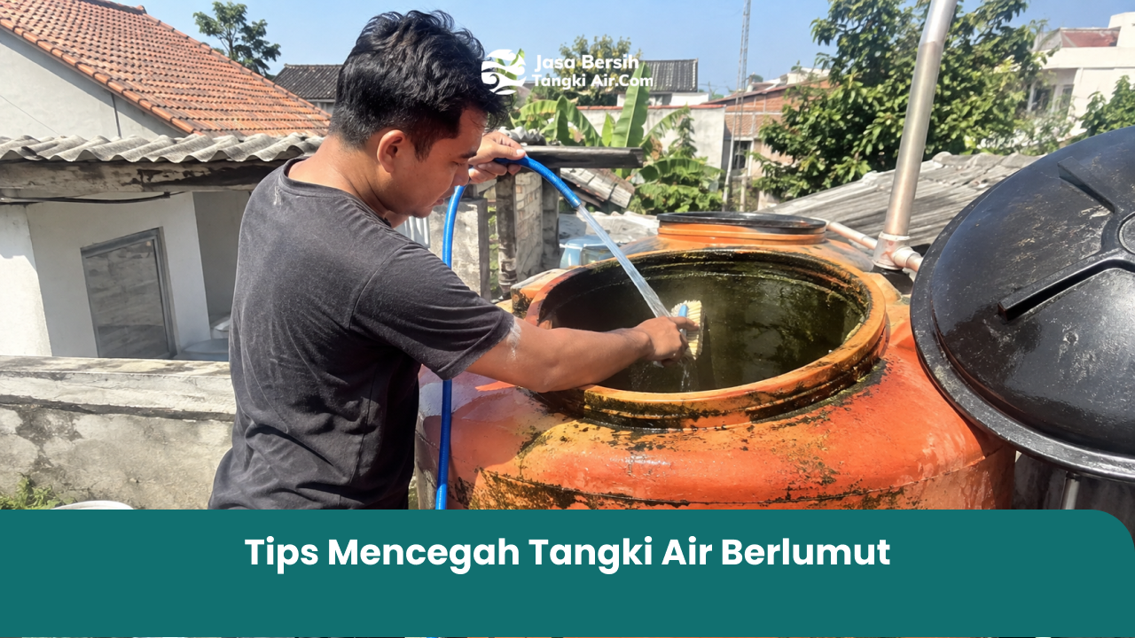 Tips Mencegah Tangki Air Berlumut