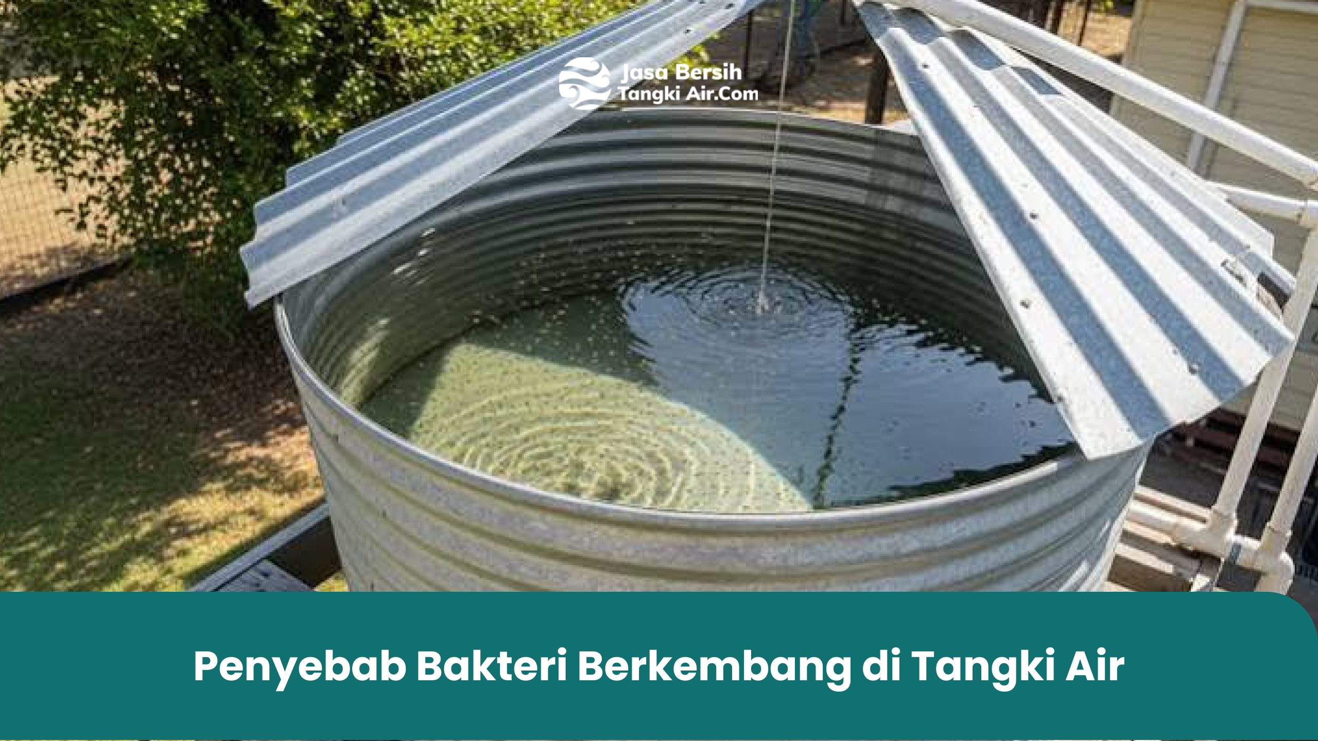 Penyebab Bakteri Berkembang di Tangki Air